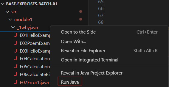 ../_images/Run_Java.png