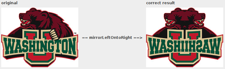 ../_images/mirror_left_onto_right_bear.png